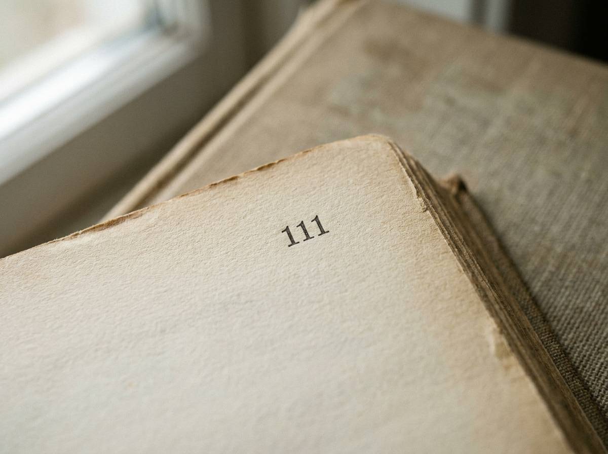Numer strony 111 wydrukowany w rogu kartki otwartej książki